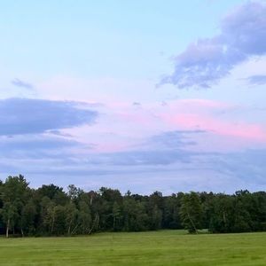 Meet your Posher, Lillianna